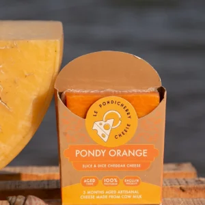 Pondy Orange